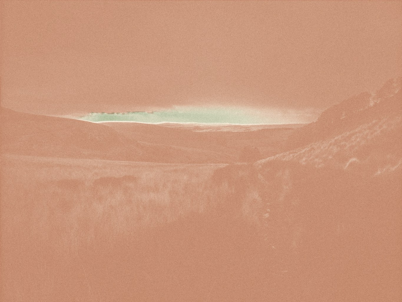 Two-colour press