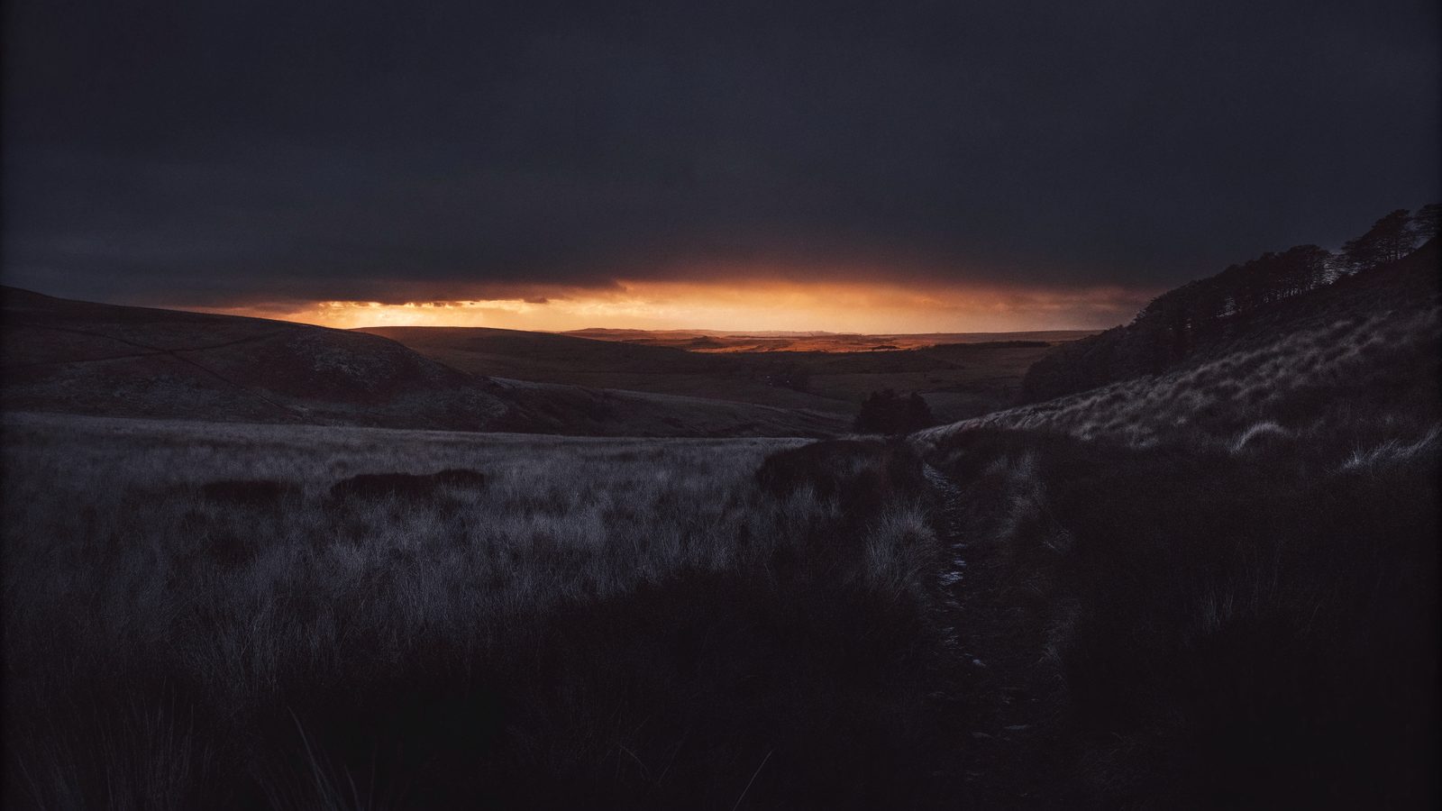Northumberland, at dusk